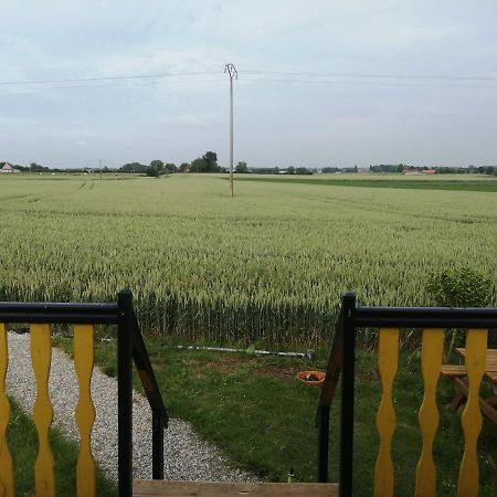 Roulotte et Jacuzzi au Domaine du Reuze Villa Winnezeele Exterior foto